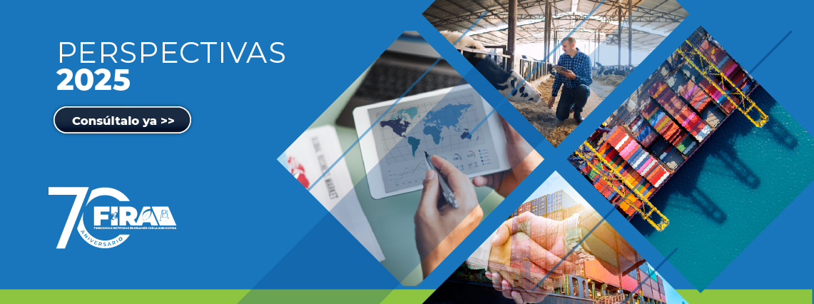Perspectivas 2025