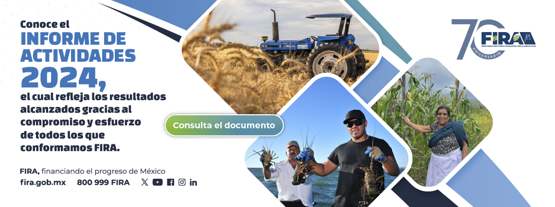 Informe de Actividades