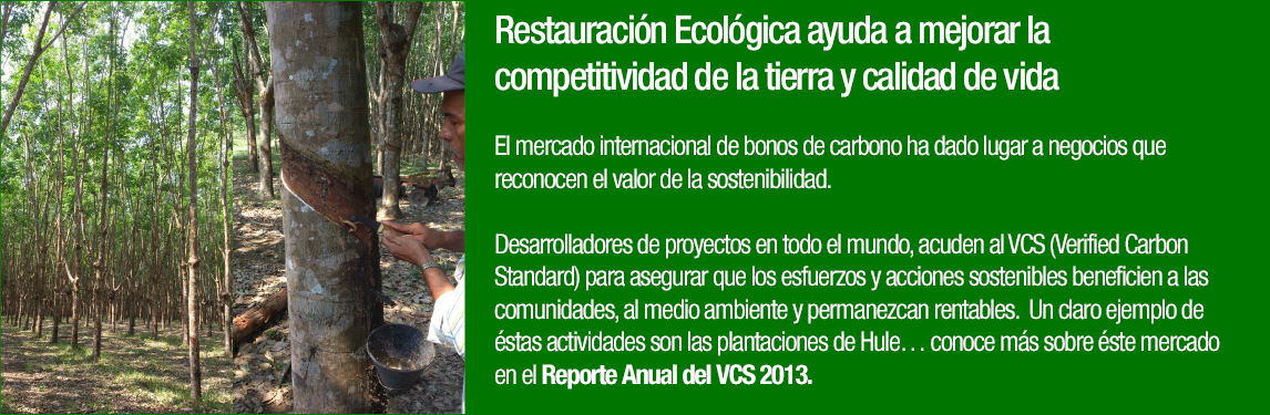  Grafica de Comportamiento Mercados de Carbono