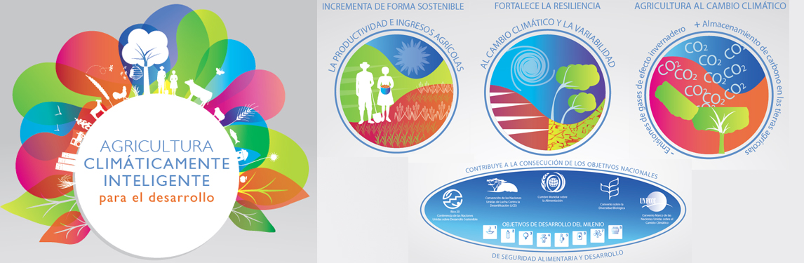  Grafica de Comportamiento Mercados de Carbono