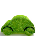 Perspectiva verde