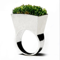 Perspectiva verde