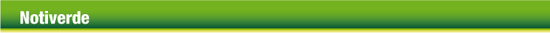 Banner Noticia Verde