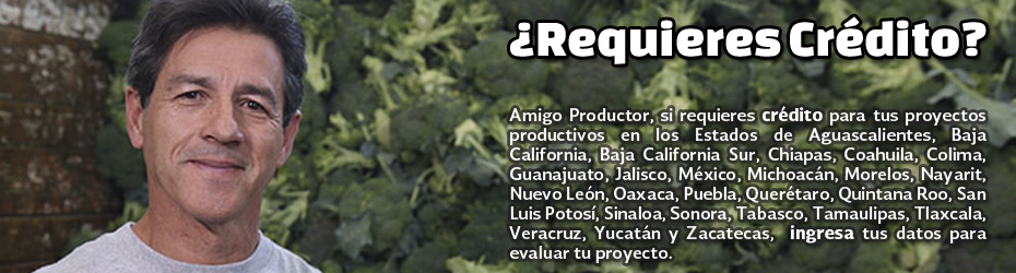 ¿Requieres Crédito?