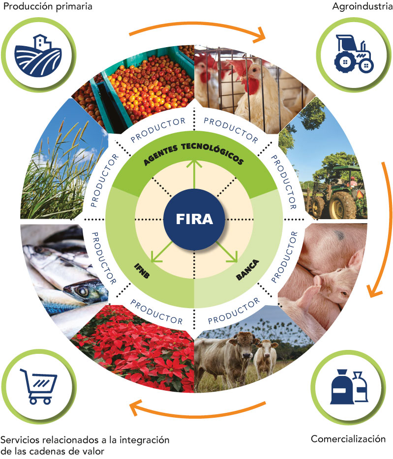 esquema de operación de FIRA