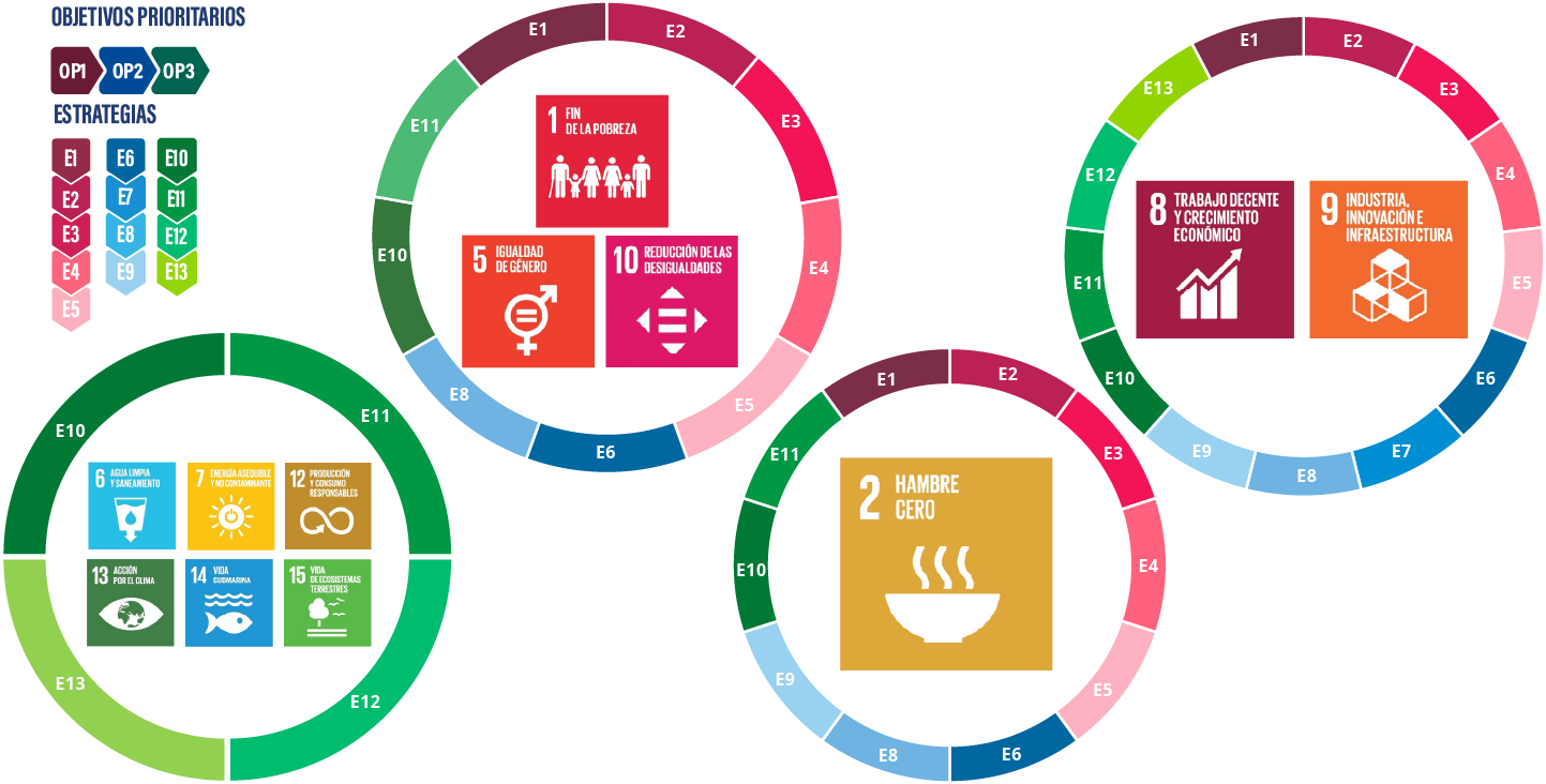 Relación de los objetivos de desarrollo sostenible y estrategias de FIRA.