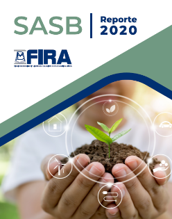 Portada ESG-SASB 2020
