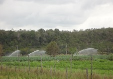 Campo con sistema de riego