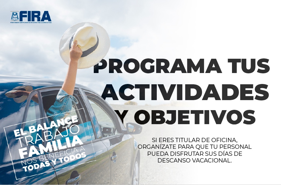 Programa tus actividades