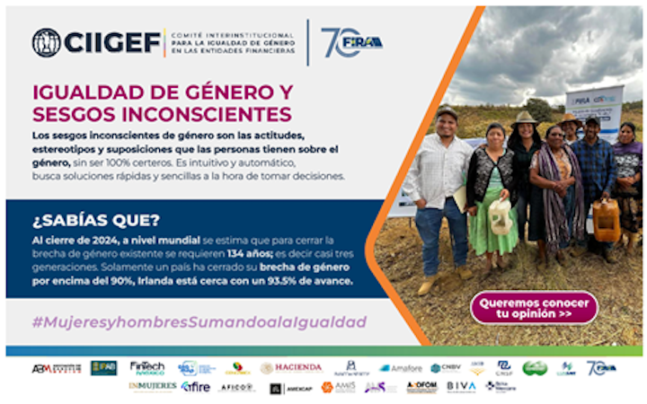 Campaña 3