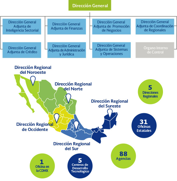 Estructura Organizacional FIRA