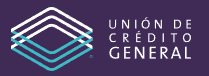 Logo UDC General