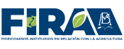 logo-fira