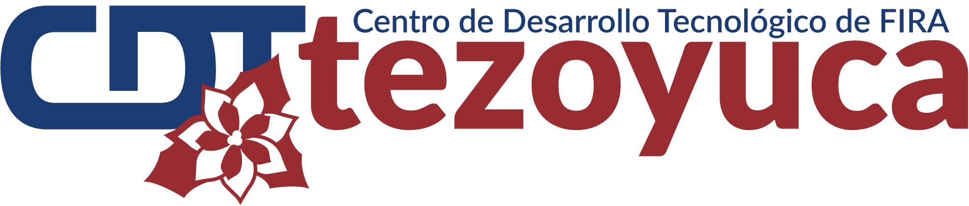 CDT Tezoyuca