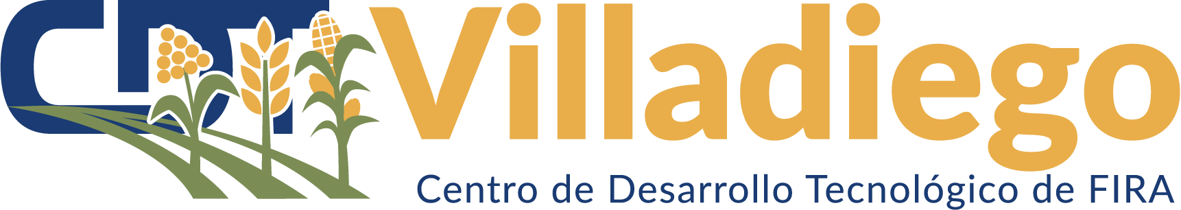 CDT Villadiego