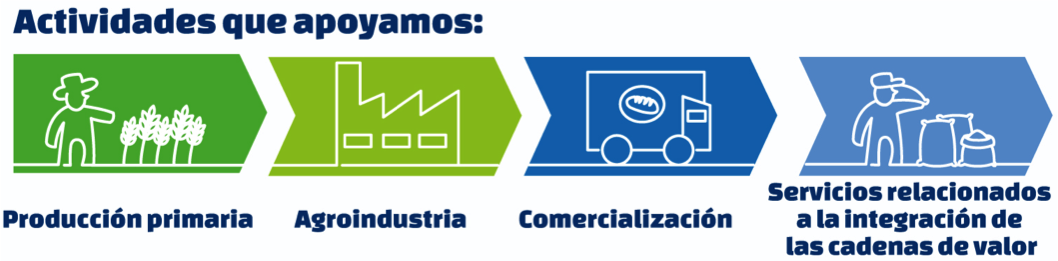 Actividades que apoyamos, Producción Primaria, Agroindustrial, Comercialización, Servicios relacionados a la integración de las cadenas de valor