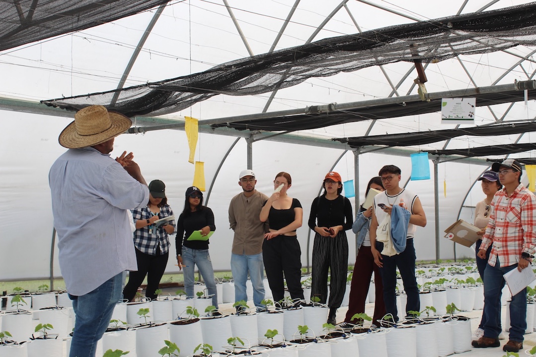 Infraestructura de invernaderos