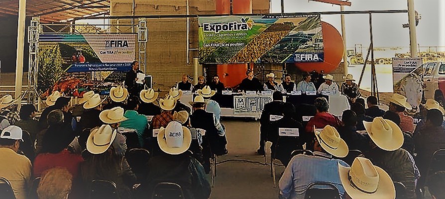participacion en Ferias