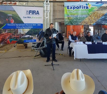 participacion en Ferias