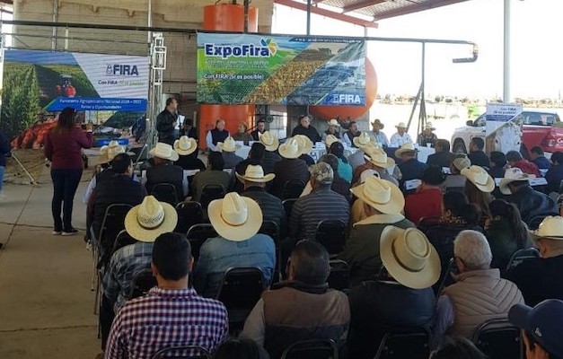 participacion en Ferias