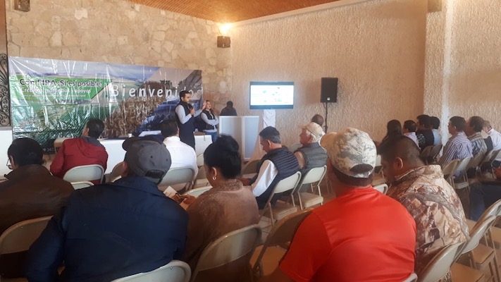participacion en Ferias
