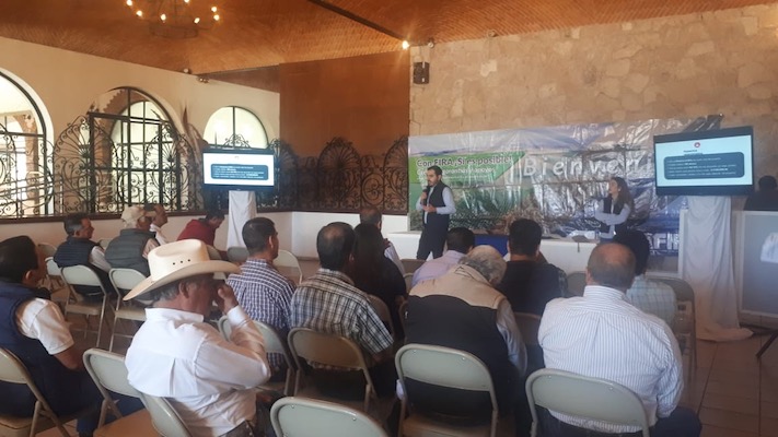 participacion en Ferias
