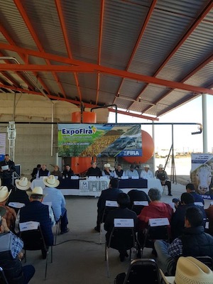 participacion en Ferias