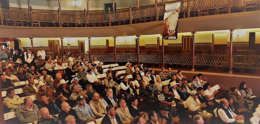 participacion en Ferias