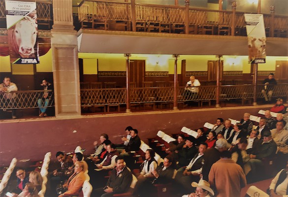 participacion en Ferias