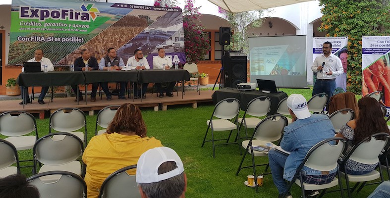 participacion en Ferias