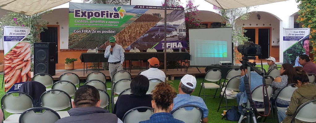 participacion en Ferias