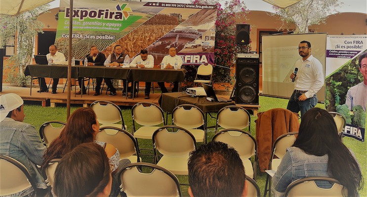participacion en Ferias
