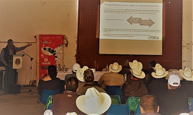 participacion en Ferias