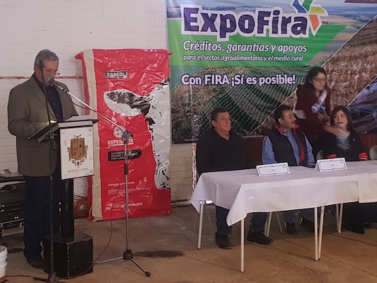 participacion en Ferias