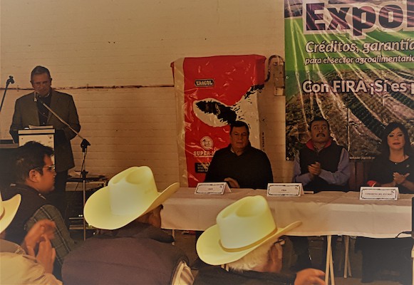 participacion en Ferias