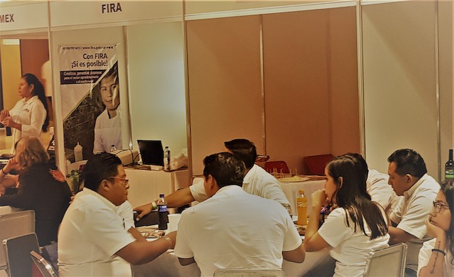 participacion en Ferias