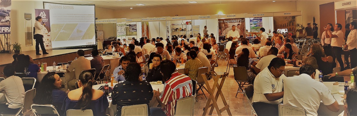 participacion en Ferias