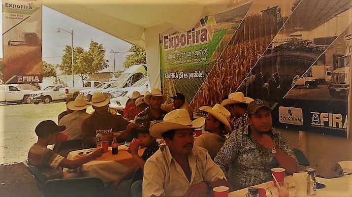 participacion en Ferias