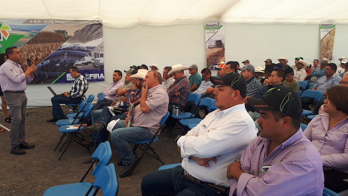 participacion en Ferias