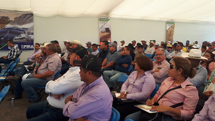 participacion en Ferias