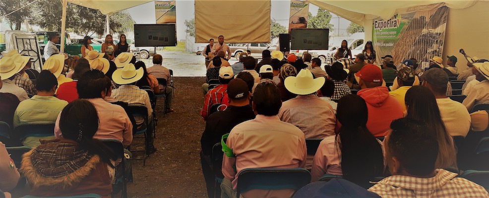 participacion en Ferias