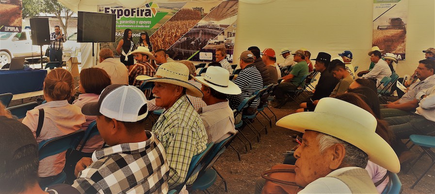 participacion en Ferias