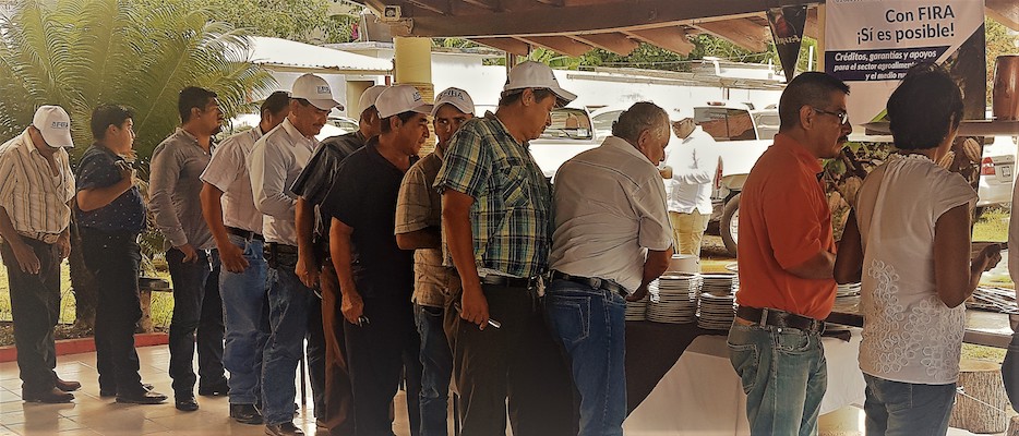 participacion en Ferias