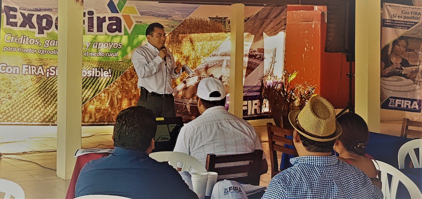 participacion en Ferias