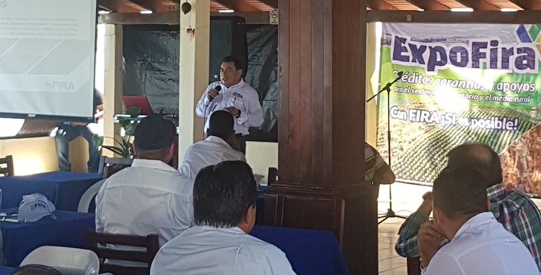 participacion en Ferias