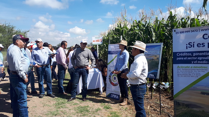participacion en Ferias