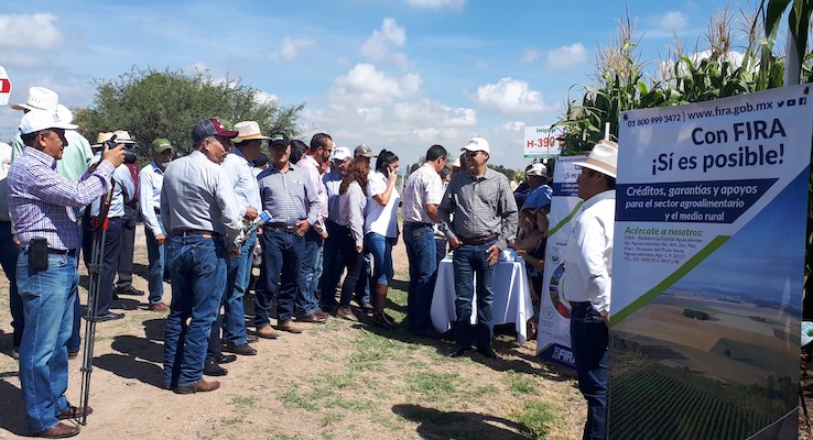 participacion en Ferias