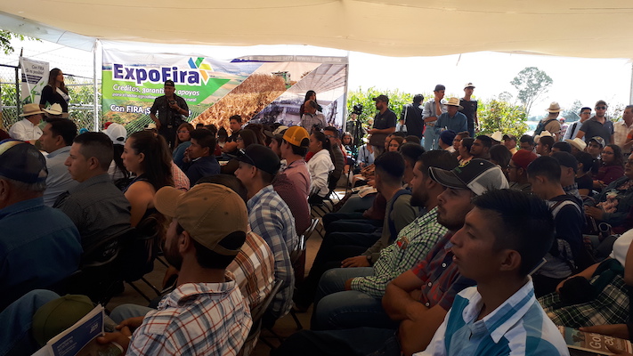 participacion en Ferias