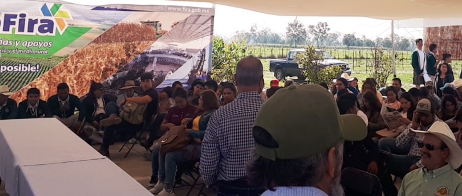 participacion en Ferias