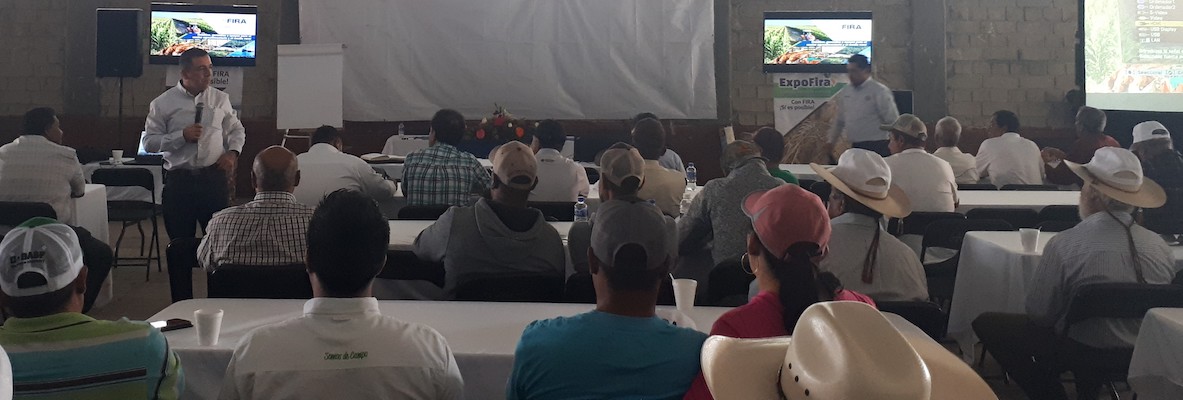 participacion en Ferias